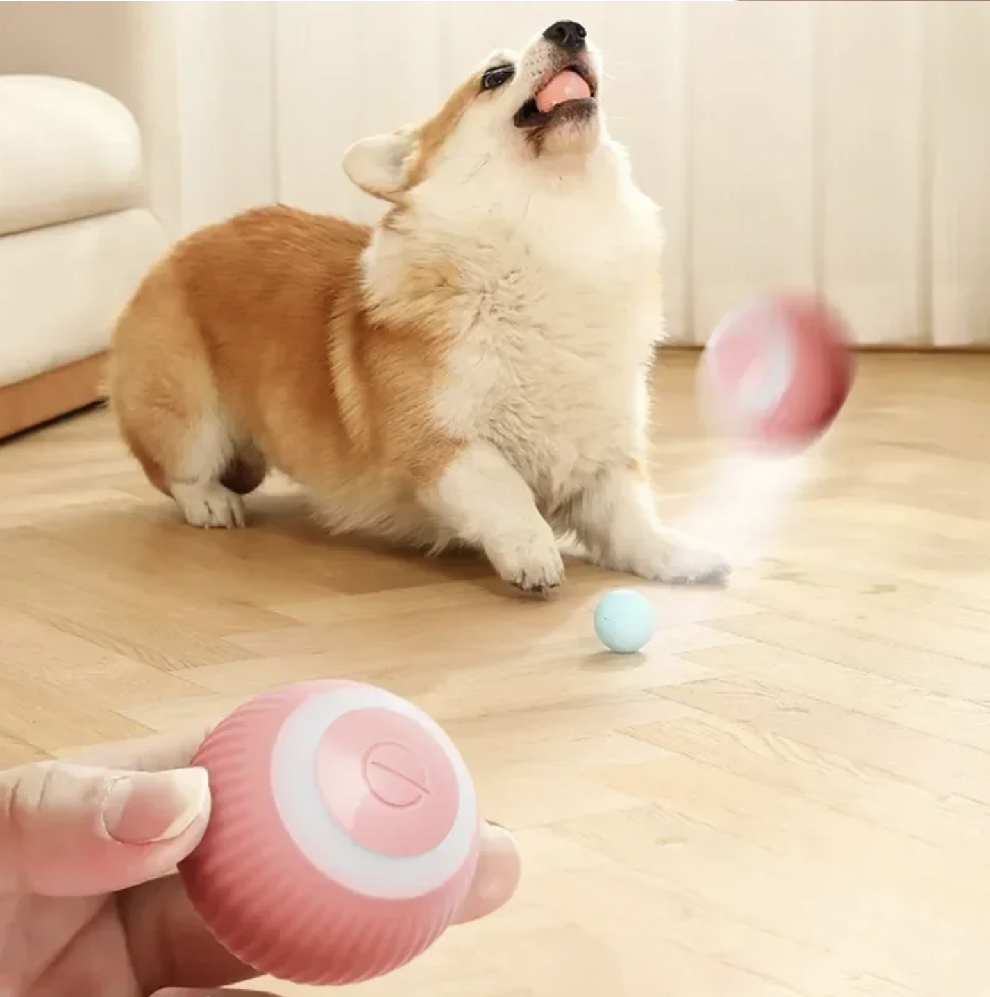 PELOTA INTERACTIVA PARA MASCOTAS - MONTOFIDO